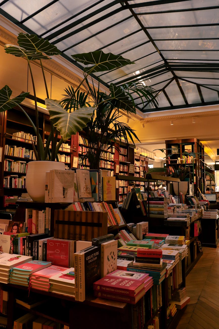 a bookstore with books on shelves and plants