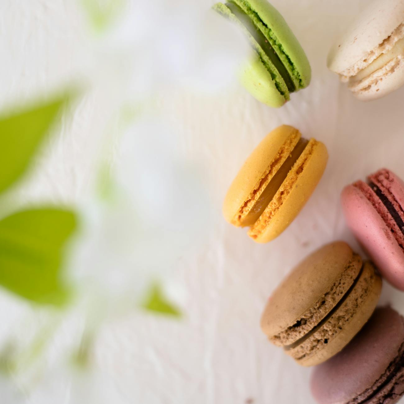 a group of colorful macarons on a white surface
